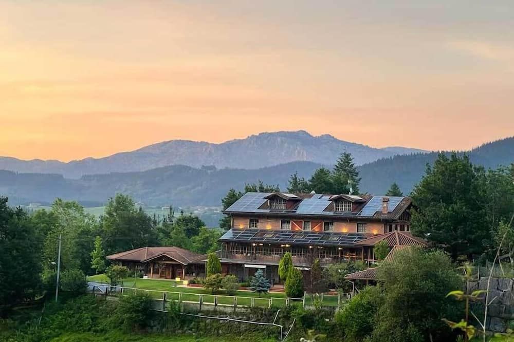 屋外の景色