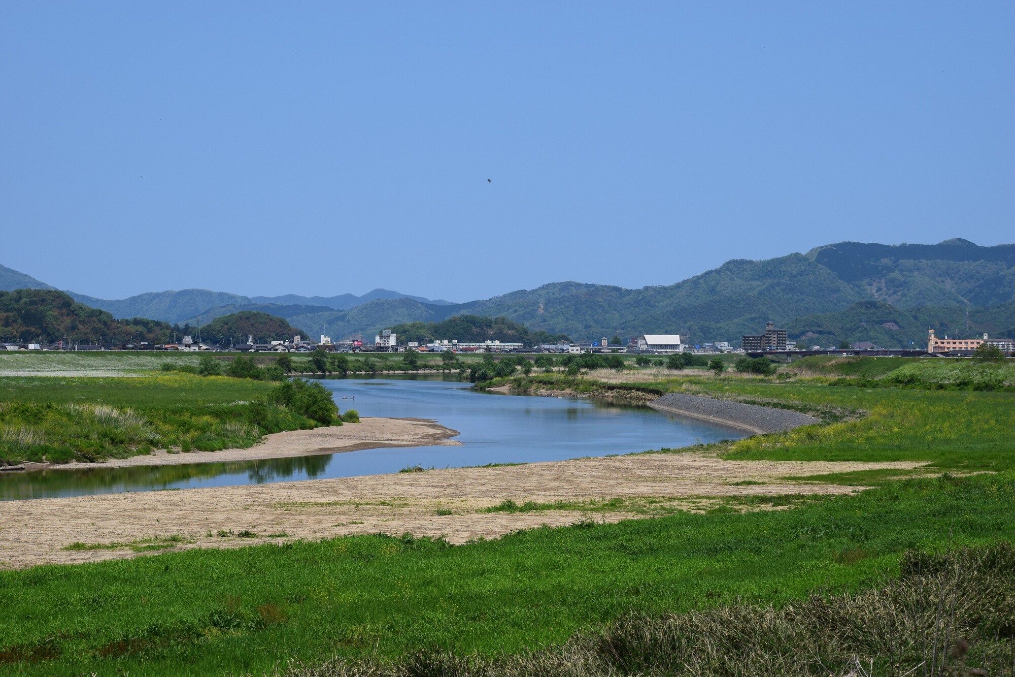 屋外の景色
