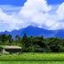 屋外の景色