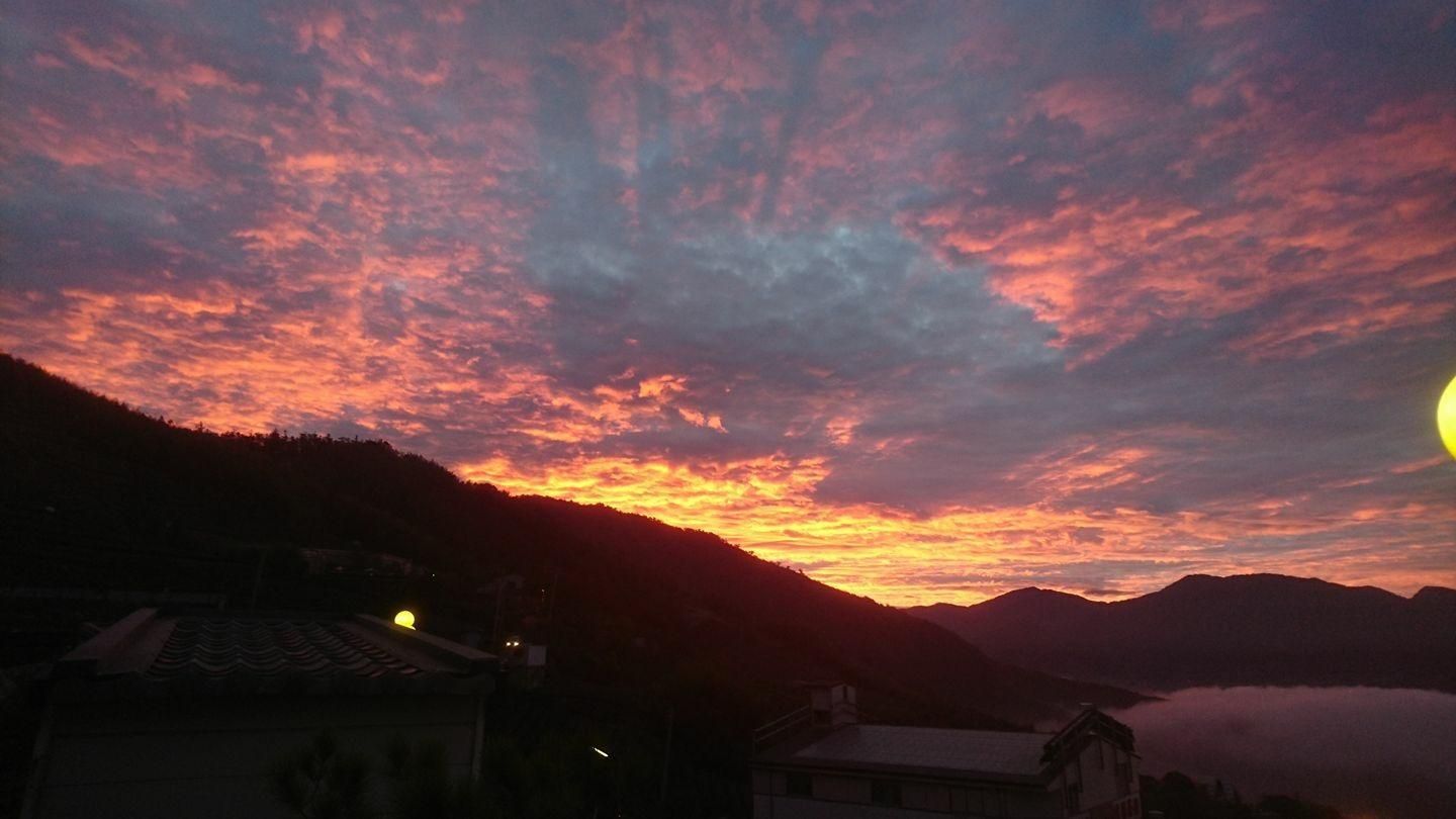 屋外の景色