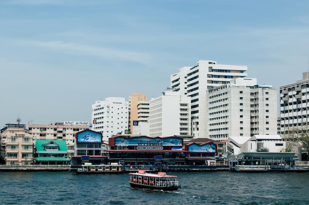 屋外の景色