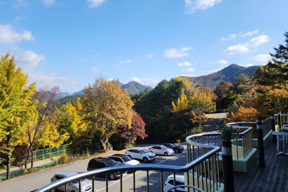 屋外の景色