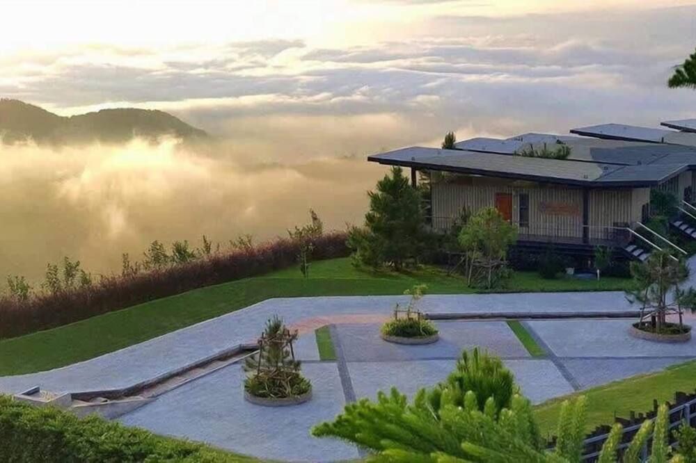 屋外の景色