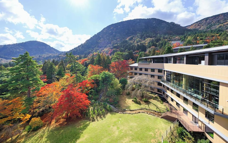 屋外の景色 写真