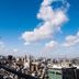屋外の景色