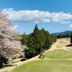 屋外の景色