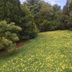 屋外の景色