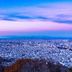 屋外の景色