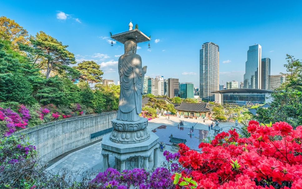 屋外の景色 写真