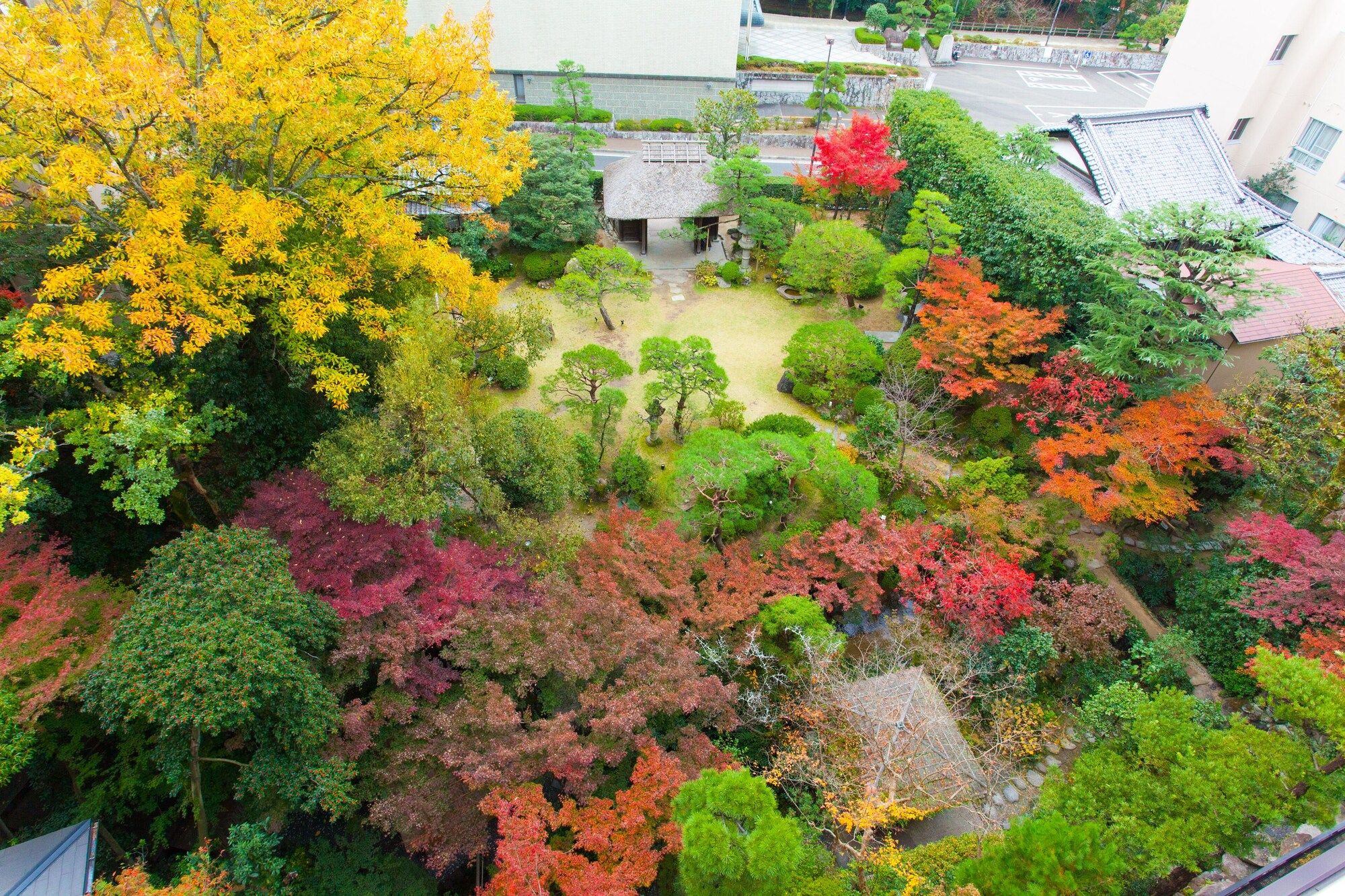 屋外の景色
