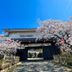屋外の景色