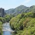 屋外の景色