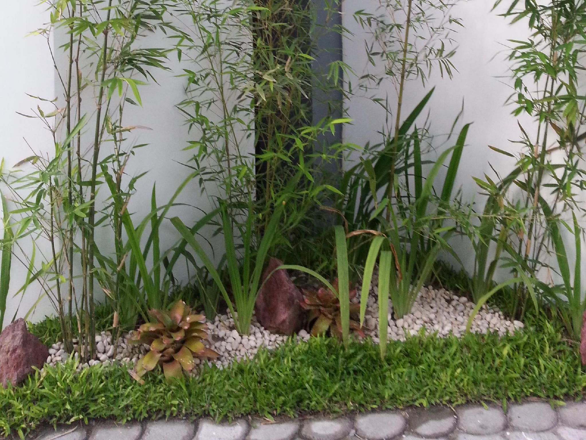 屋外の景色