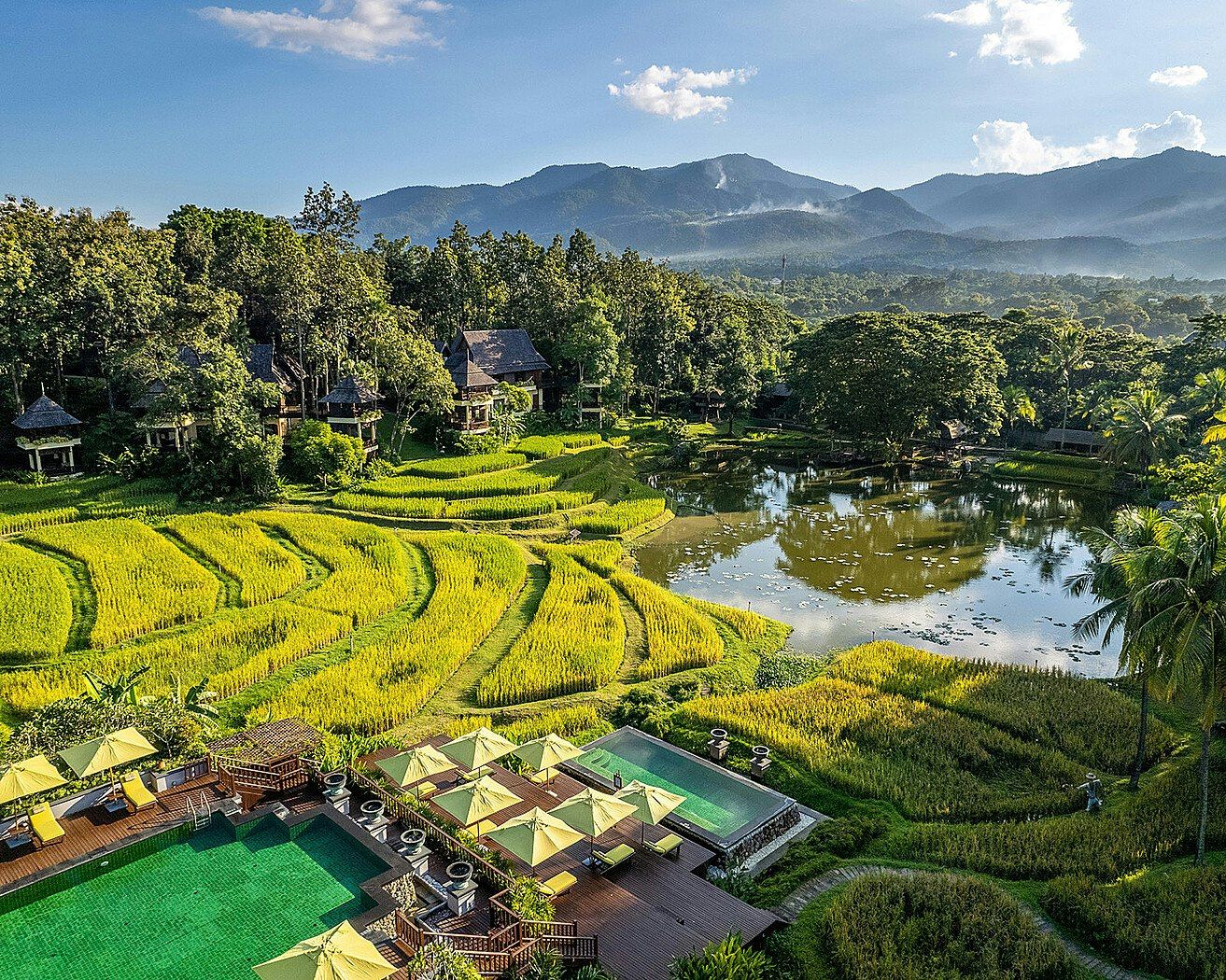 屋外の景色