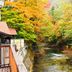 屋外の景色