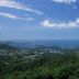 屋外の景色