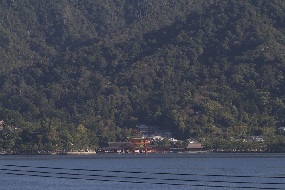 屋外の景色
