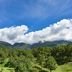 屋外の景色
