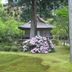 屋外の景色