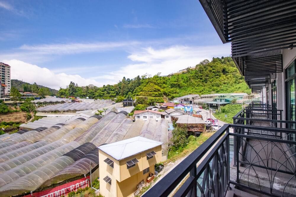 屋外の景色
