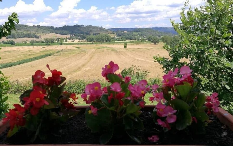 屋外の景色 写真