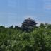 屋外の景色