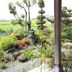屋外の景色