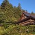屋外の景色