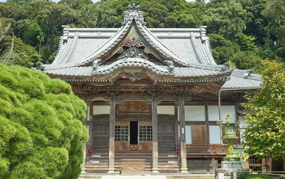 屋外の景色 写真