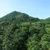 屋外の景色