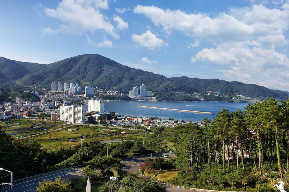 屋外の景色