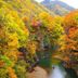 屋外の景色