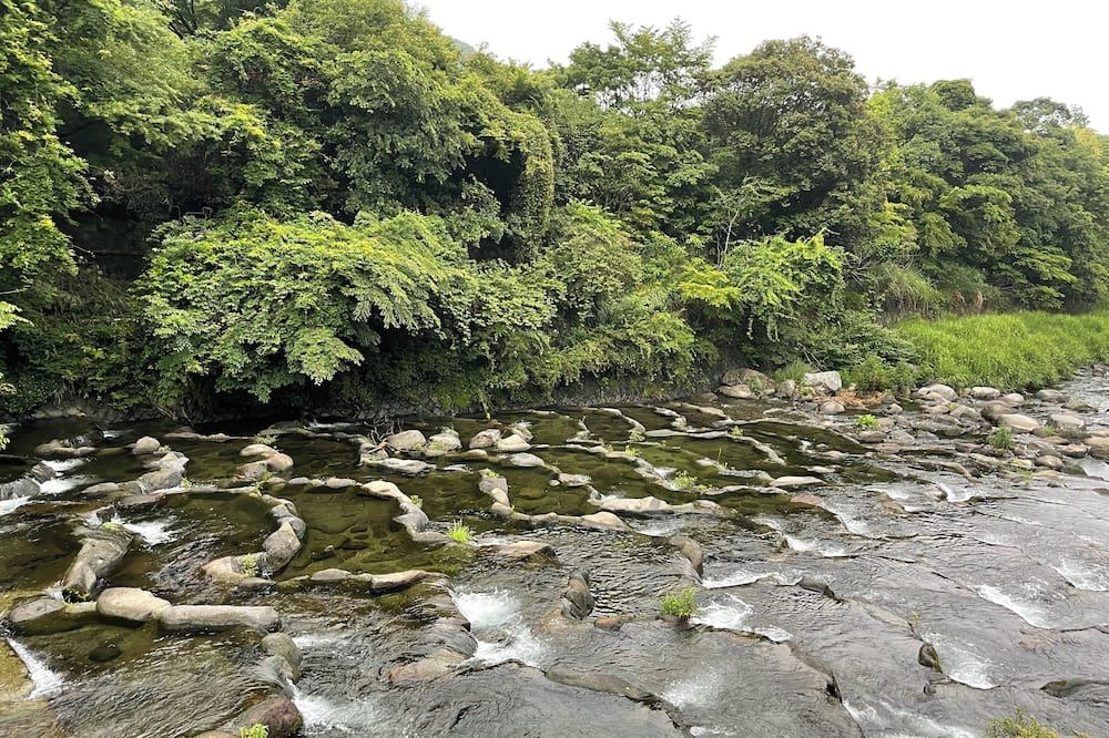 屋外の景色