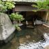 屋外の景色