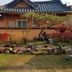 屋外の景色