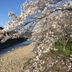 屋外の景色