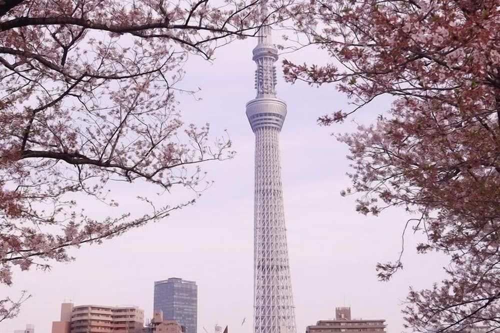 屋外の景色