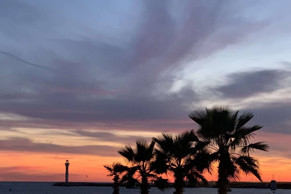 屋外の景色