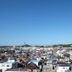 屋外の景色