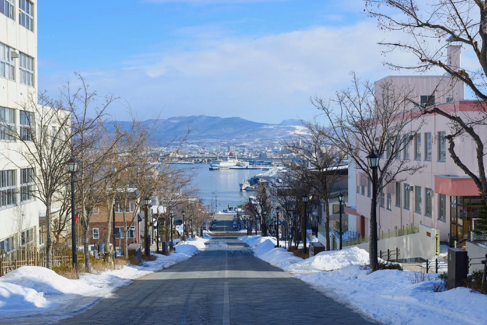 屋外の景色