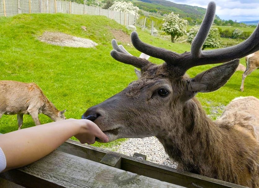 その他 写真
