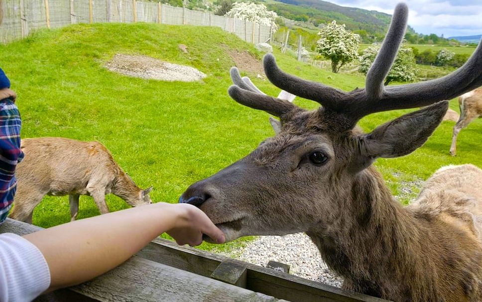 その他 写真