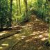 屋外の景色