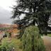 屋外の景色