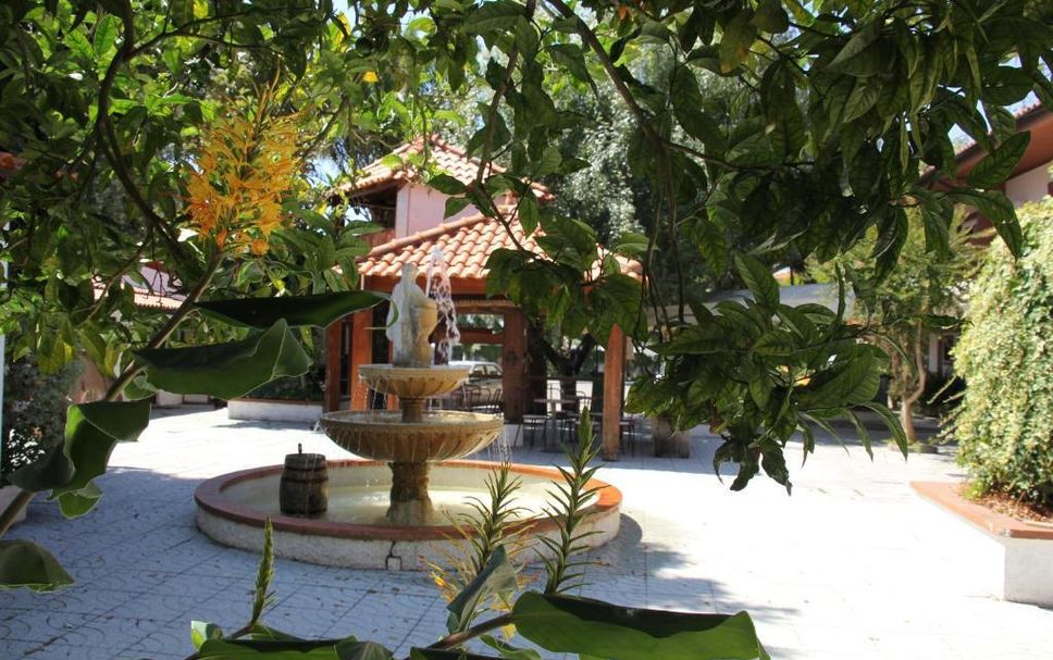 屋外の景色 写真