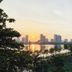 屋外の景色