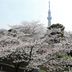 屋外の景色