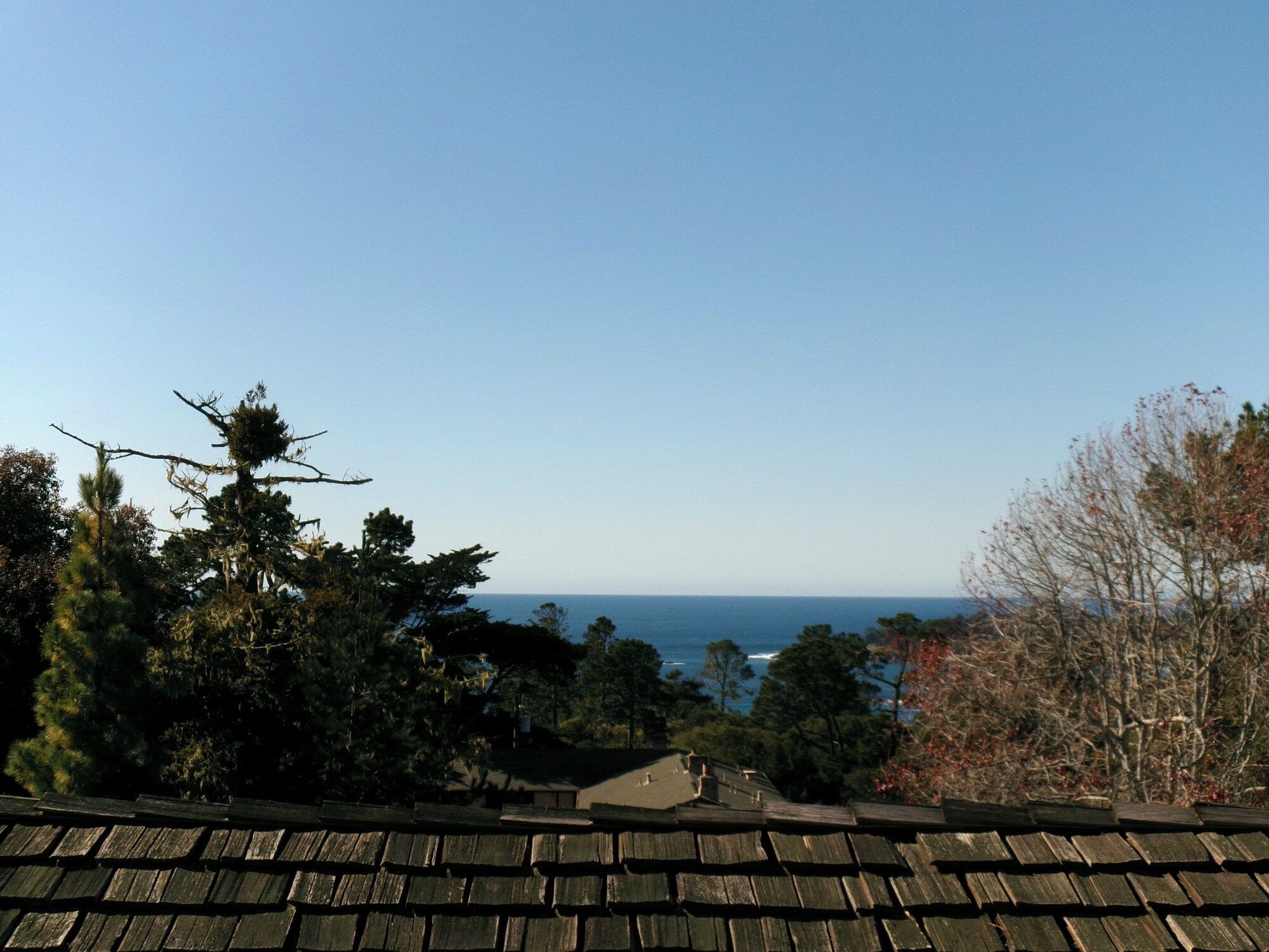 屋外の景色