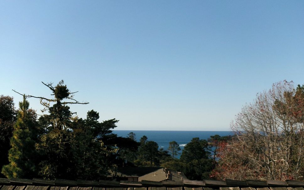 屋外の景色 写真