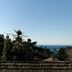 屋外の景色